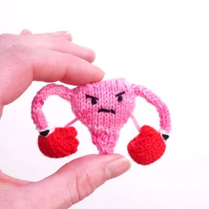 Fumin Womb Knit Kit